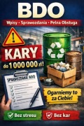 Obsługa BDO dla firm | Rejestracja, sprawozdania, pomoc środowiskowa