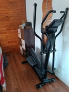 Orbitrek Zipro Dunk Gold