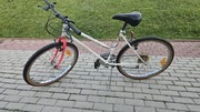 Rower damka goytowy do jazdy 15 biegów