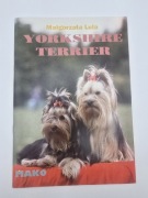Yorkshire Terrier Małgorzata Lula