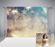 Tło fotograficzne, zimowe