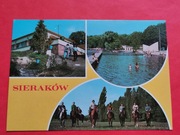 SIERAKÓW      -  Pocztówka  /  WIDOKI  i  KONIE