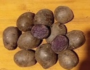 ziemniaki truflowe fioletowe małe drobne 24 kg 
