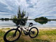 Specialized Levo Comp 