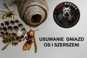 Likwidacja - Usuwanie gniazd os i szerszeni