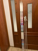 Narty biegowe do klasyka Fischer 205cm łuska SNS Profil