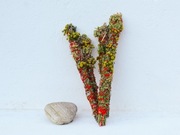 Kadzidło naturalne wrotycz krwawnik bylica 4 sztuki oczyszczenie odcięcie