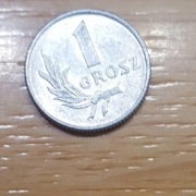 Moneta Polska 1 grosz 1949 r  