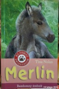 Tina Nolan Merlin Bezdomny źrebak