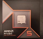 AMD Ryzen 5 9600x