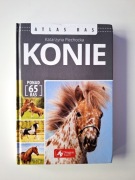 Konie Atlas ras Katarzyna Piechocka