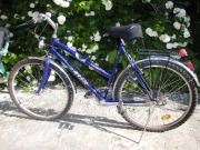 Rower damski Classic