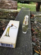 Daliflor Salvador Dali miniaturka z kartonikiem 