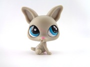 LITTLEST PET SHOP LPS - Pies Piesek Chihuahua #2031 [ac230]