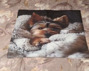 Poszewka na poduszkę 