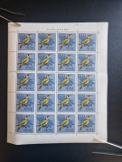 Ark 1571 ** Ptaki leśne - dzięcioł zielony 1966r.