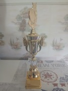 Puchar sportowy nagroda