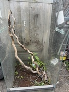 Sprzedam terrarium bez przedniej szyby