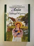 Książka Ania z Zielonego wzgórza - Lucy Maud Montgomery