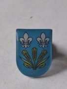 Herb gmina Chąśno przypinka pin odznaka wpinka