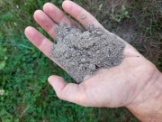 Naturalny popiół drzewny z kominka – nawóz do ogrodu 40l / 15kg