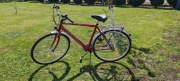 Rower Arkus Delta Vintage