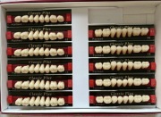 Zęby akrylowe Classic Plus kolor G1 172 szt.