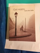 Zafon Carlos Ruiz, Cień wiatru