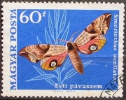 Węgry 1969 r. motyle