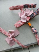 Szelki dla psa kota S