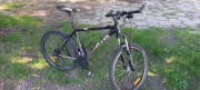 Kellys  Salamander 26 cali , czarny  , rozmiar ramy 19,5  - stan idealny 