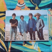 Plakat The Beatles 50cm x 70cm