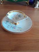 Filiżanka I talerzyk Bavaria