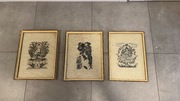 Obrazy rysunek 3 sztuki zestaw