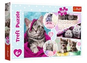 PUZZLE 160 Urocze kotki Trefl 15371