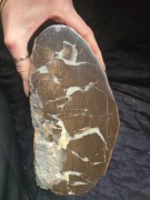 Septaria smoczy kamień, prezent, duża septaria