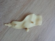 Trzustka kostek szkielet ciało człowieka National Geographic