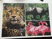 Puzzle 1000 elementów Trefl flamingi tygrys panda
