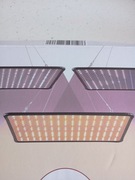 Lampa LED do uprawy roślin