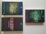 Rainer Wekwerth Przebudzenie labiryntu trylogia Labirynt