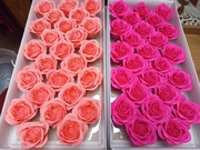 Róże Mydlane w opakowaniu 50szt