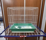 Klatka dla ptaków plus akcesoria 