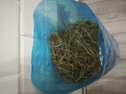 Siano 1kg, chomik,świnka morskakrólik,myszoskoczek