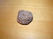 Róża pustyni kamień 5 cm