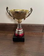 Złoty Puchar okolicznościowy sportowy 20 cm