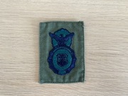 Naszywka - USAF - Security Forces (SF) (OD Subdued)