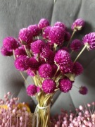 gomfrena różowa  naturalna suszona  kwiaty bukiety 