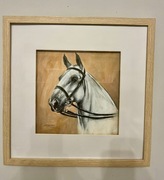 oń gniady - Obraz ręcznie malowany 