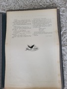 ALBUM GROTTGERA  29 RYCIN WIECZORY ZIMOWE