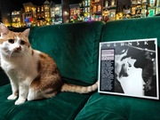 POLAŃSKI Antologia Filmowa 32 DVD (kot sprzedawany oddzielnie)